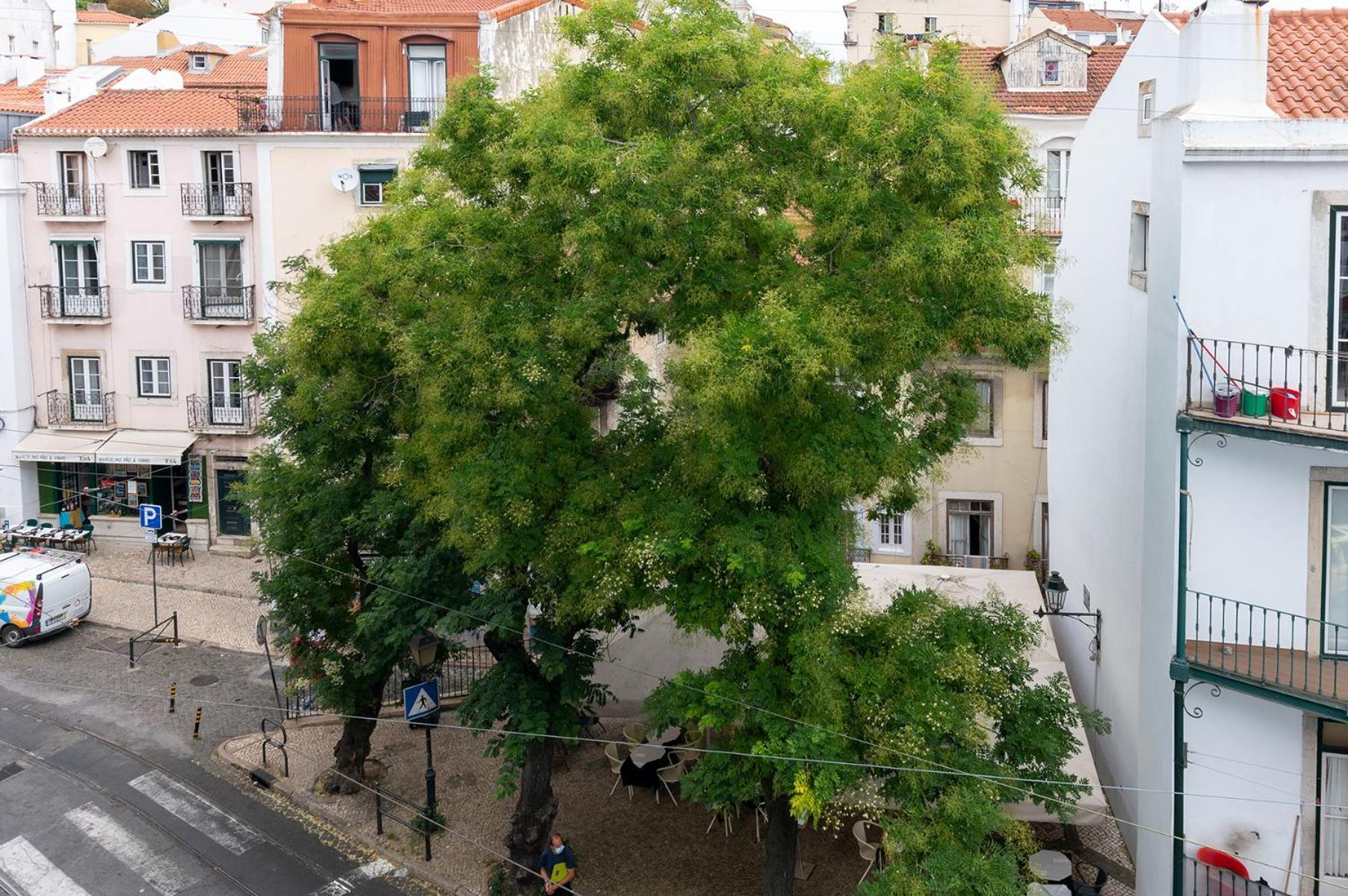Appartement Portas do Céu à Lisboa Chambre photo